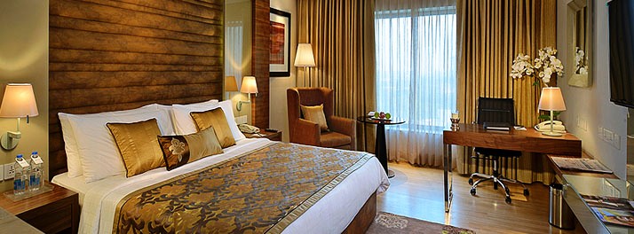 253/Fortune Inn Grazia - Ghaziabad 08.jpg